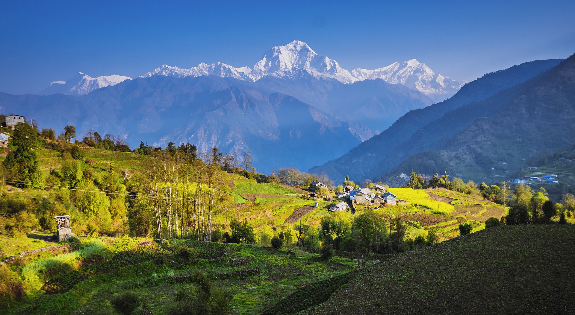 Mardi Himal Trekking for 8 Days
